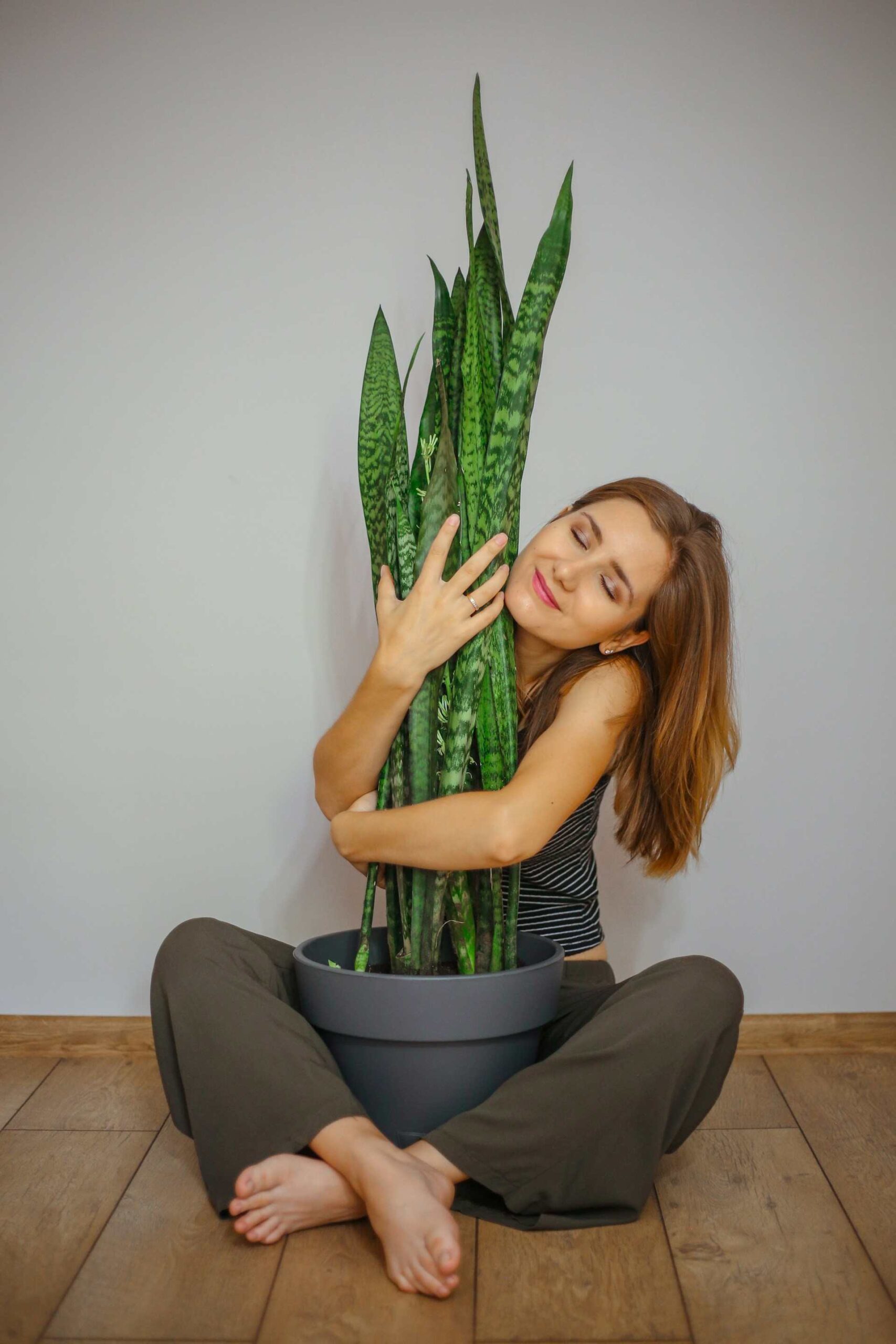 You can feel touch with nature at home with indoor plants.