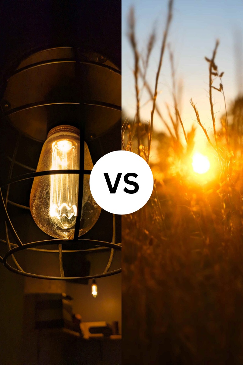 Plants need two type light like natural and artificial light.