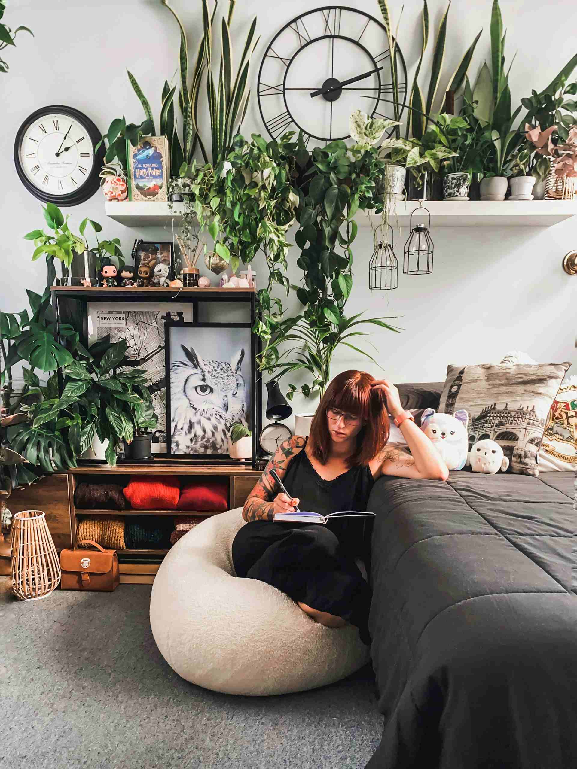 Living room plants can improve your focus and productivity.