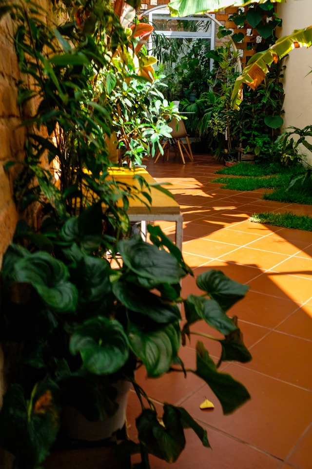 Group plants decor looks likes plants canvas.