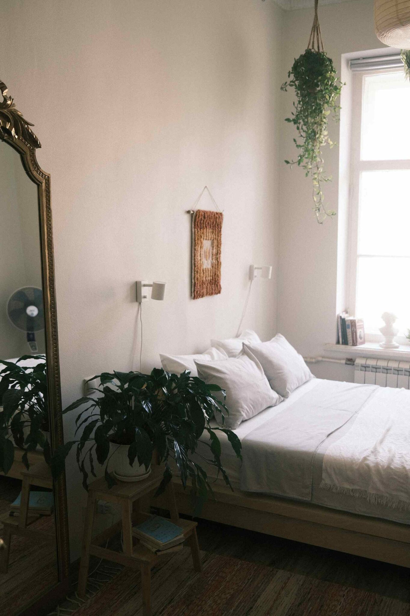 Some Plant have benefits to purify indoor air.