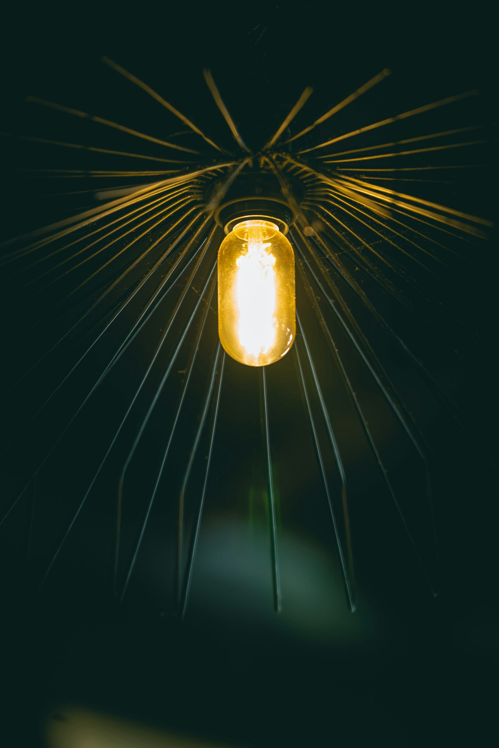 Firstly, you need to ensure the light level.