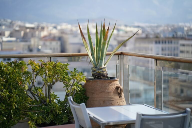 Indoor Plants Ideas for Balcony 