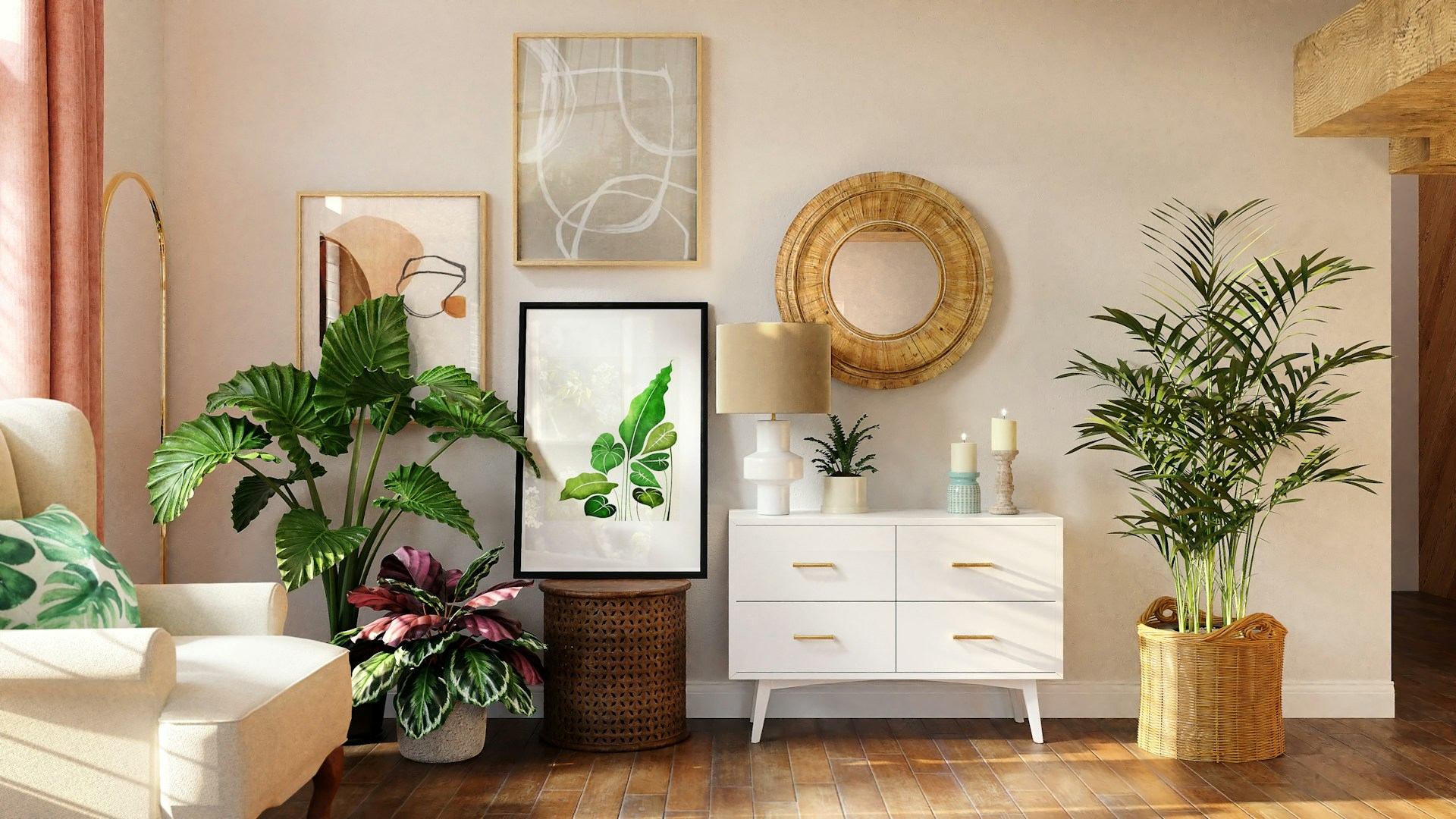 Indoor Plants Display Creative way Looking Aesthetic.