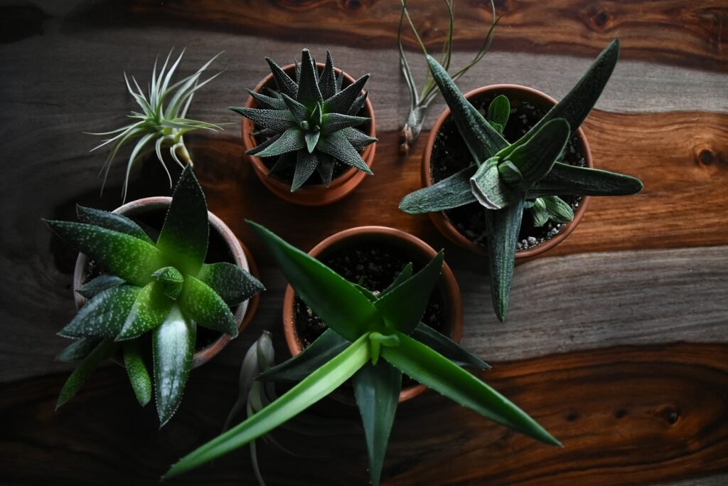 Go green images