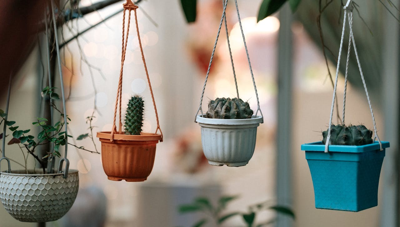 Plant Hanging without Drilling