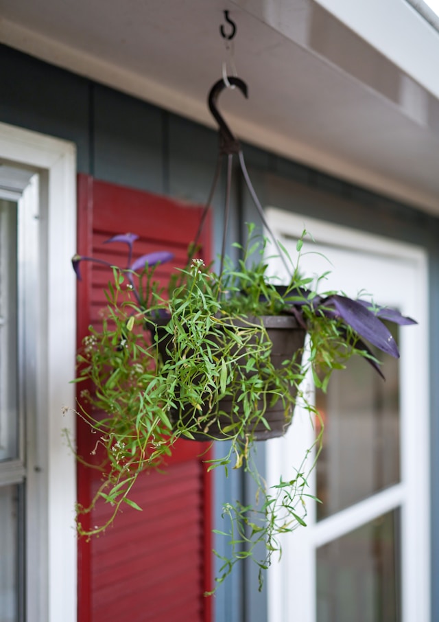 S-Hook is very helpful to hang any type plants.