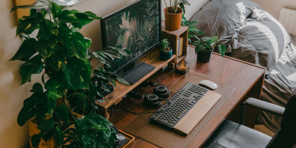 Right place best of office plants.