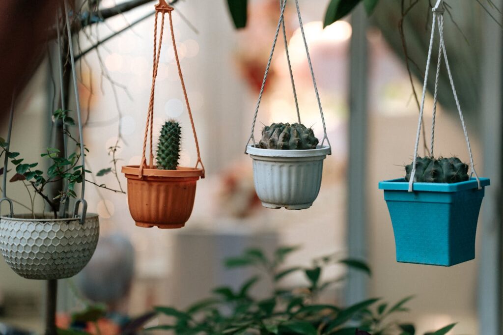 Plants hanging on hook easy to carry.